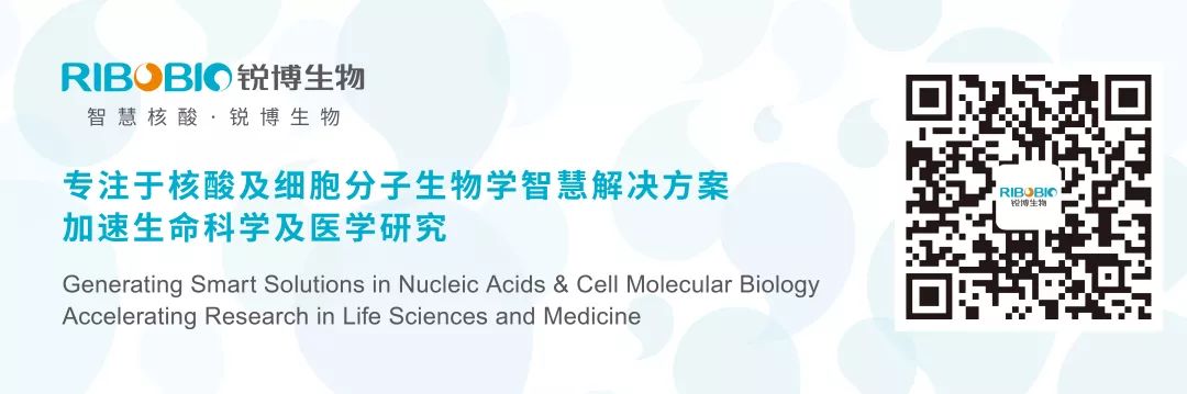 美国科学院院士Joseph PUGLISI教授重磅加盟CNAF2018-肽度TIMEDOO
