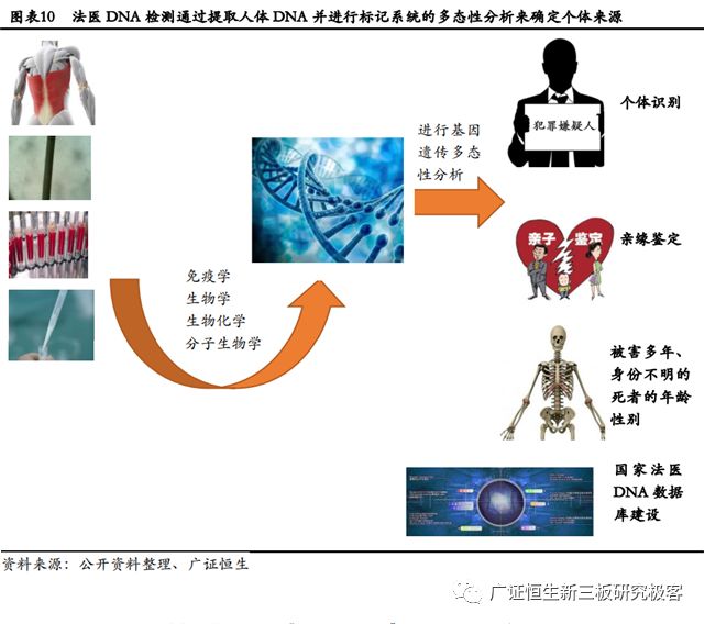 高盛生物(872674.OC):华南区法医DNA鉴定龙头,2018年上半年营收同比增长100.97%-肽度TIMEDOO