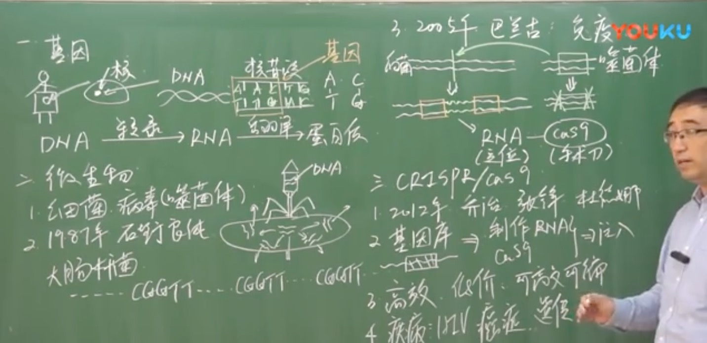 基因编辑是啥？CRISPR_cas9技术如何修改DNA？李永乐老师讲基因工程