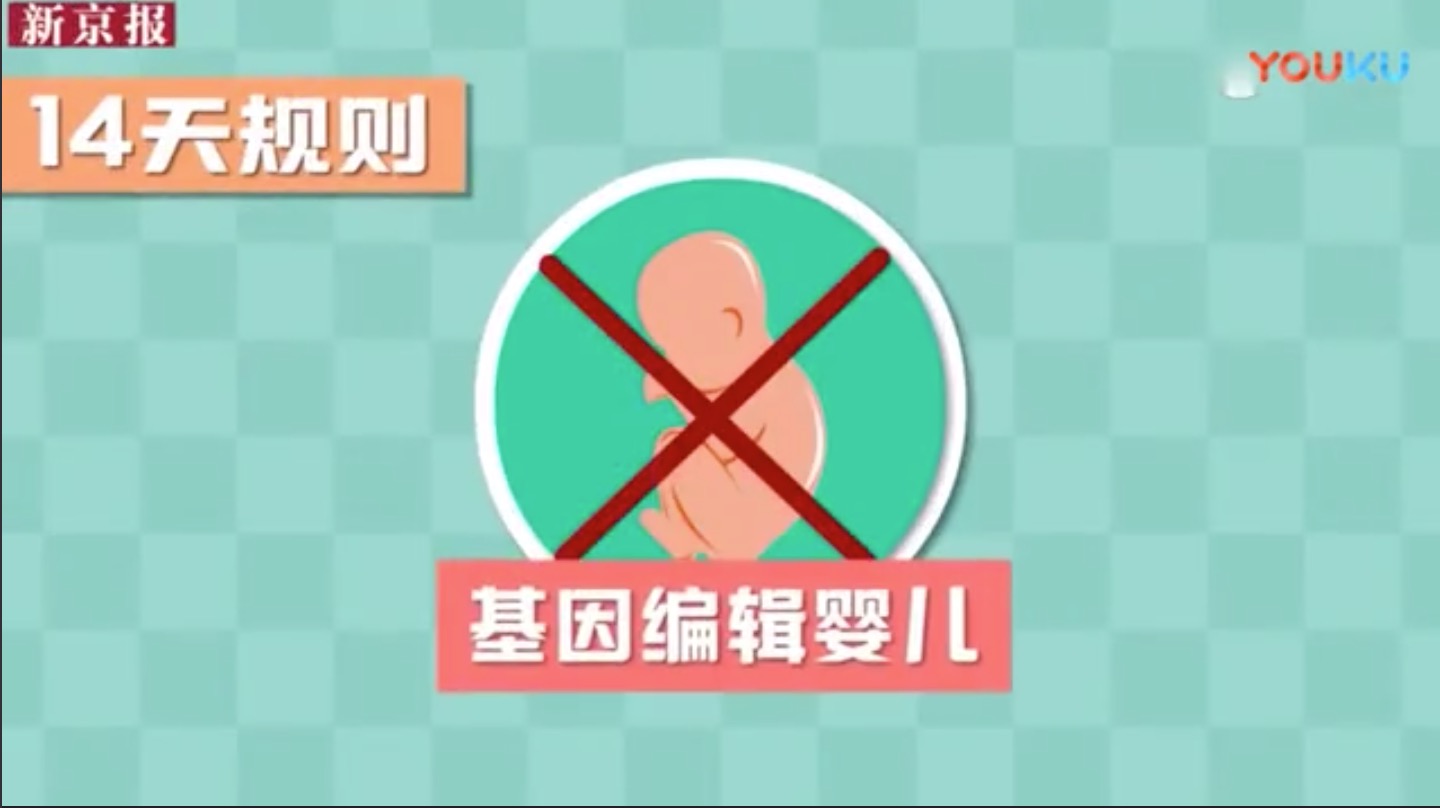 科技部回应“基因编辑婴儿”事件！动画科普：此事是否涉嫌违法？