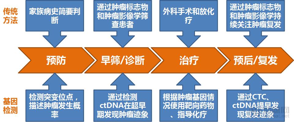 肿瘤基因检测行业研究报告:覆盖诊疗全流程,治疗已成刚需,早筛将有突破-肽度TIMEDOO