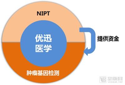 肿瘤基因检测行业研究报告:覆盖诊疗全流程,治疗已成刚需,早筛将有突破-肽度TIMEDOO