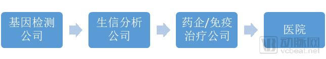 行研 | 肿瘤新生抗原的夜与雾-肽度TIMEDOO