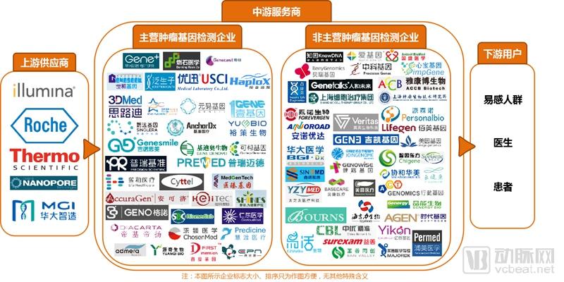 肿瘤基因检测行业研究报告:覆盖诊疗全流程,治疗已成刚需,早筛将有突破-肽度TIMEDOO