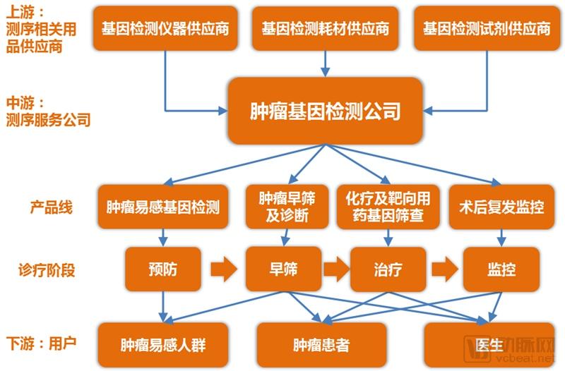 肿瘤基因检测行业研究报告:覆盖诊疗全流程,治疗已成刚需,早筛将有突破-肽度TIMEDOO