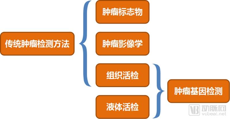 肿瘤基因检测行业研究报告:覆盖诊疗全流程,治疗已成刚需,早筛将有突破-肽度TIMEDOO