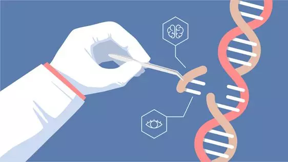 哈佛学者宣布进行精子基因编辑,10月曾来华寻求胚胎项目合作-肽度TIMEDOO