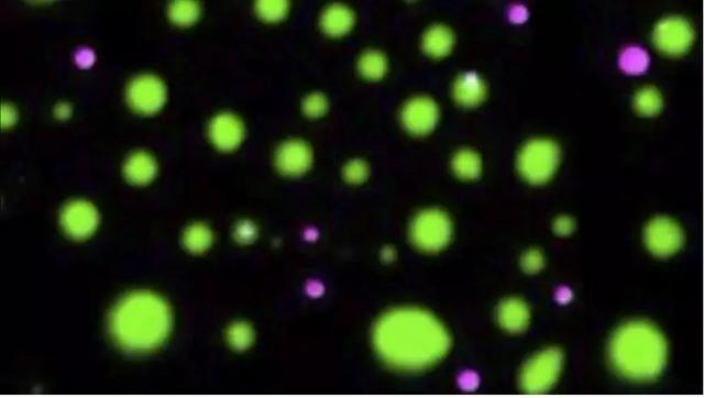 Science:年度十大科学突破,单细胞测序将改变未来十年的研究-肽度TIMEDOO