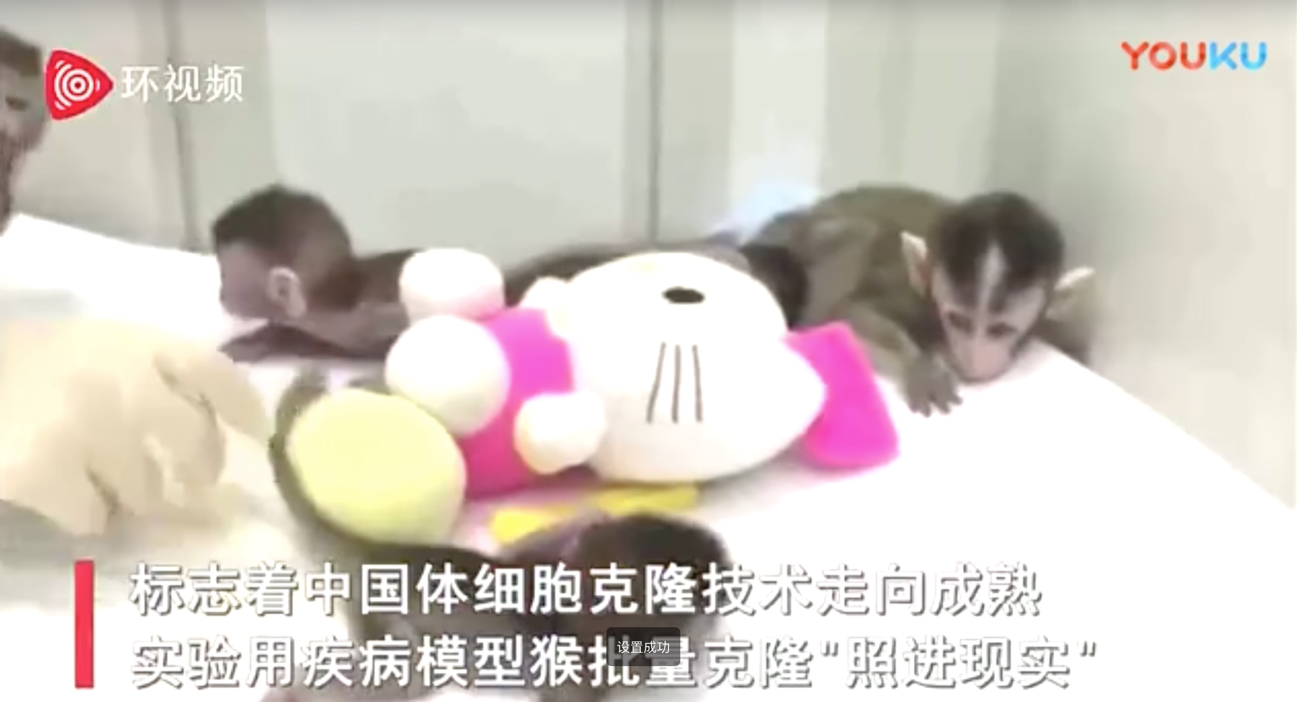 中国又出了个世界第一，这才是值得点赞的基因编辑技术