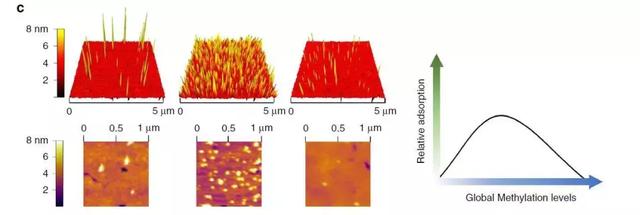 Nature子刊：液体活检难实现？纳米金颗粒来助力-肽度TIMEDOO
