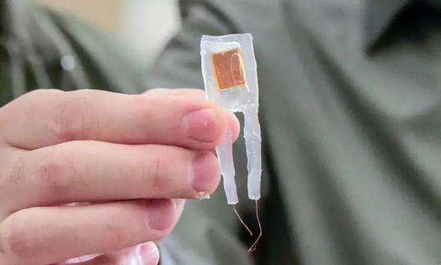 变瘦或许可以变得更容易,胃部植入芯片帮助大鼠 100 天减重 38%-肽度TIMEDOO