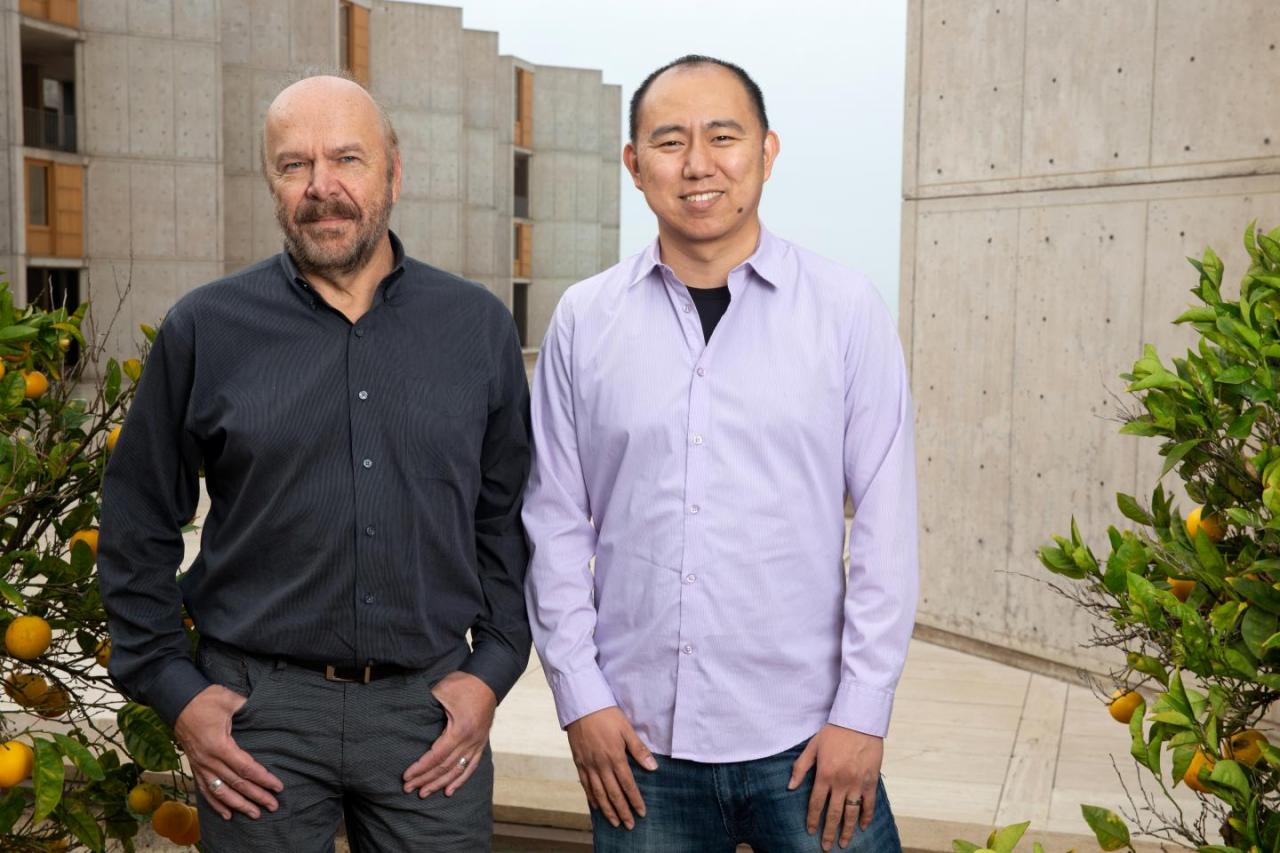 Nature子刊：全局DNA甲基化重塑技术帮助检验体外实验模型是否有效-肽度TIMEDOO