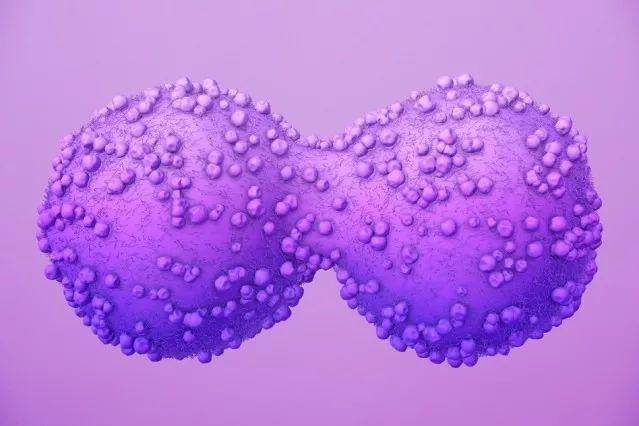 打破零记录！中国自研抗癌药获FDA“突破疗法”认证