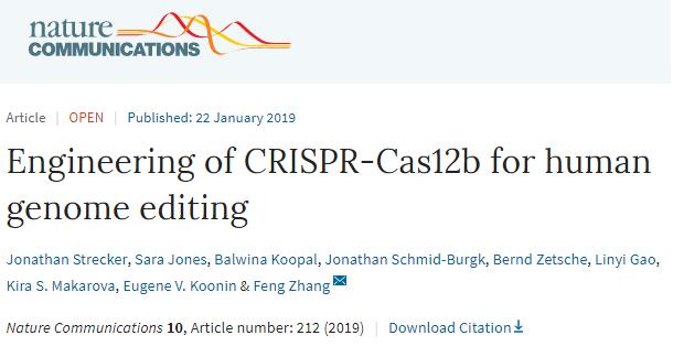 张锋团队发现第三个可用于人类基因组编辑的CRISPR-Cas系统