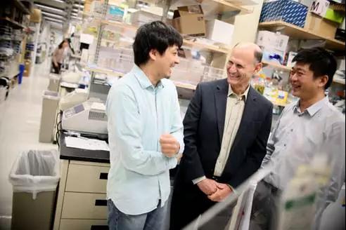 从全球首批人兽嵌合体到美国首个基因编辑人类胚胎,这位科学狂人将CRISPR的应用潜力发挥到了极致-肽度TIMEDOO