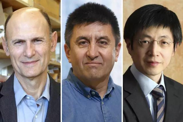 从全球首批人兽嵌合体到美国首个基因编辑人类胚胎,这位科学狂人将CRISPR的应用潜力发挥到了极致-肽度TIMEDOO