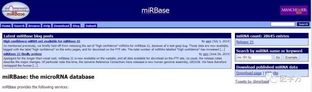 手把手教你miRNA研究套路及引物设计方法-肽度TIMEDOO