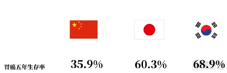 10万胶囊胃镜检查数据透视中国消化道健康状况,探讨器械智能化的社会价值,《中国消化道疾病检查白皮书》发布-肽度TIMEDOO