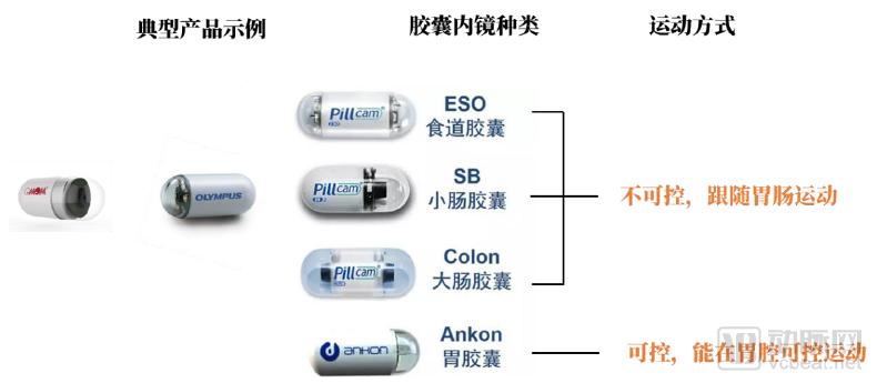 10万胶囊胃镜检查数据透视中国消化道健康状况,探讨器械智能化的社会价值,《中国消化道疾病检查白皮书》发布-肽度TIMEDOO