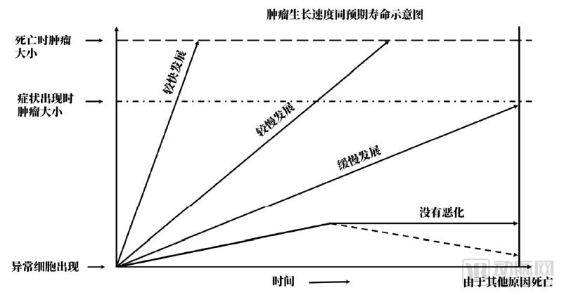 10万胶囊胃镜检查数据透视中国消化道健康状况,探讨器械智能化的社会价值,《中国消化道疾病检查白皮书》发布-肽度TIMEDOO