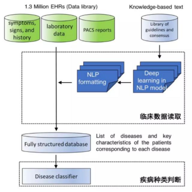 AI可准确诊断常见儿童疾病 ,中国团队成果登上Nature子刊-肽度TIMEDOO
