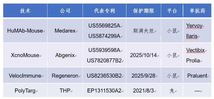 单克隆抗体技术与药物的专利浅析-肽度TIMEDOO