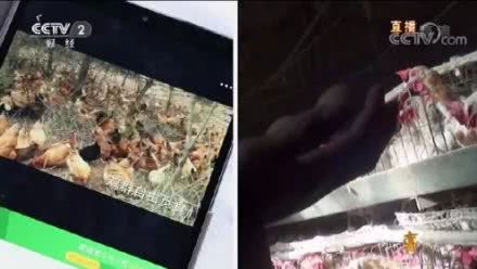 央视3.15黑榜全名单!医疗垃圾黑色产业链, 智药房医师证竟能租借-肽度TIMEDOO