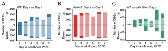 衰老并不是一个完全随机紊乱的过程，Aging Cell发现其中的规律