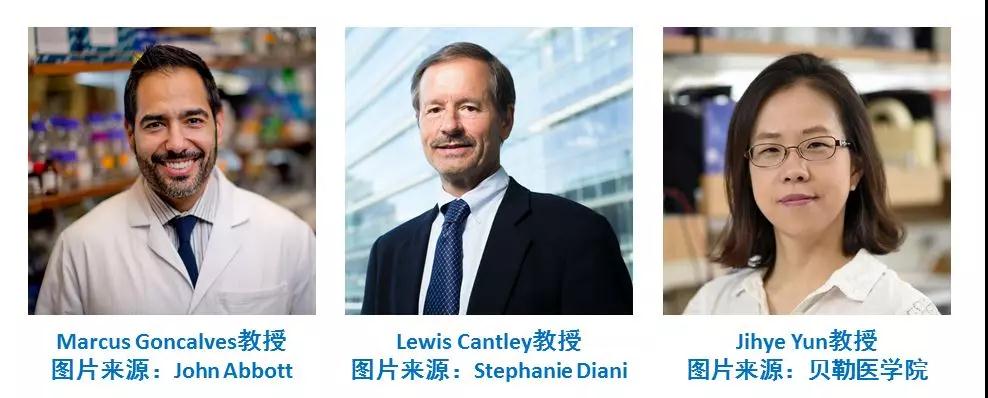 要命还是要快乐?《科学》发现糖浆会促进肿瘤生长-肽度TIMEDOO