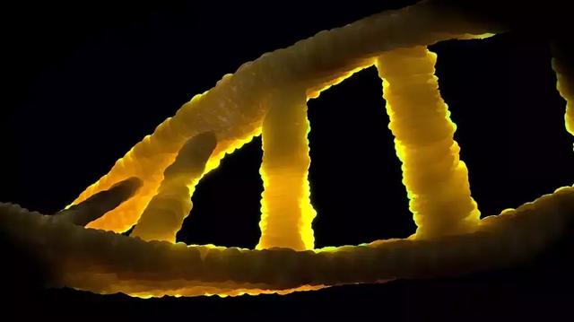 DeepTech发布2019年生命科学领域十大技术趋势,生物科技已迈入黄金时代!-肽度TIMEDOO