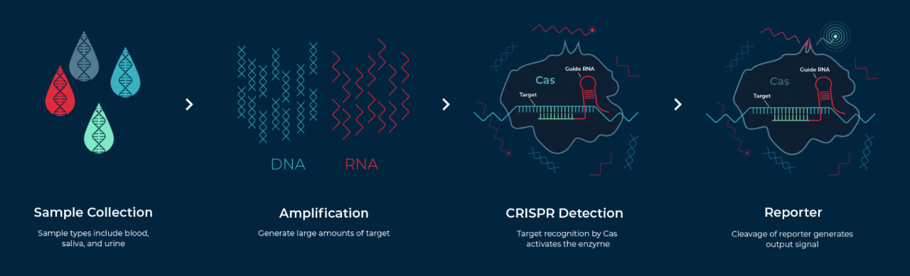 当合成生物学遇上CRISPR，张锋又成立新公司了-肽度TIMEDOO