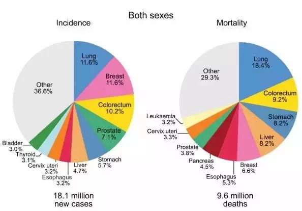 最新全球癌症统计:今年将有1000万人死于癌症-肽度TIMEDOO