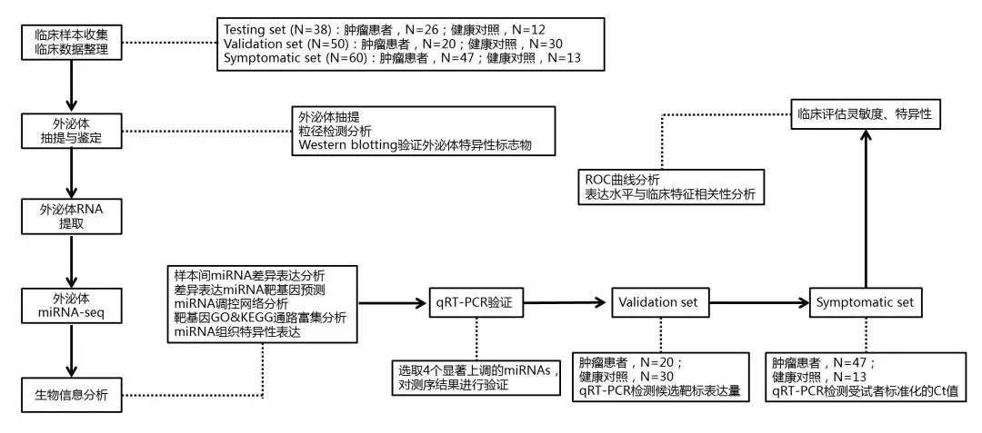 外泌体miRNA测序：如何搞定10分的miRNA标志物Paper？-肽度TIMEDOO