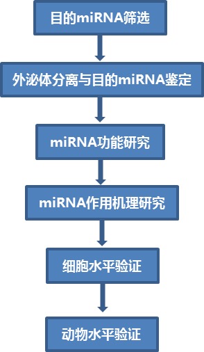重磅丨外泌体miRNA会是Ⅰ型糖尿病患者的福音吗？-肽度TIMEDOO