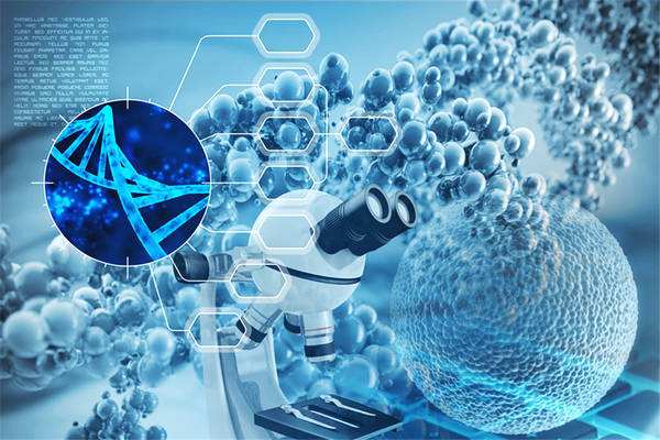 基因行业的“军阀混战”