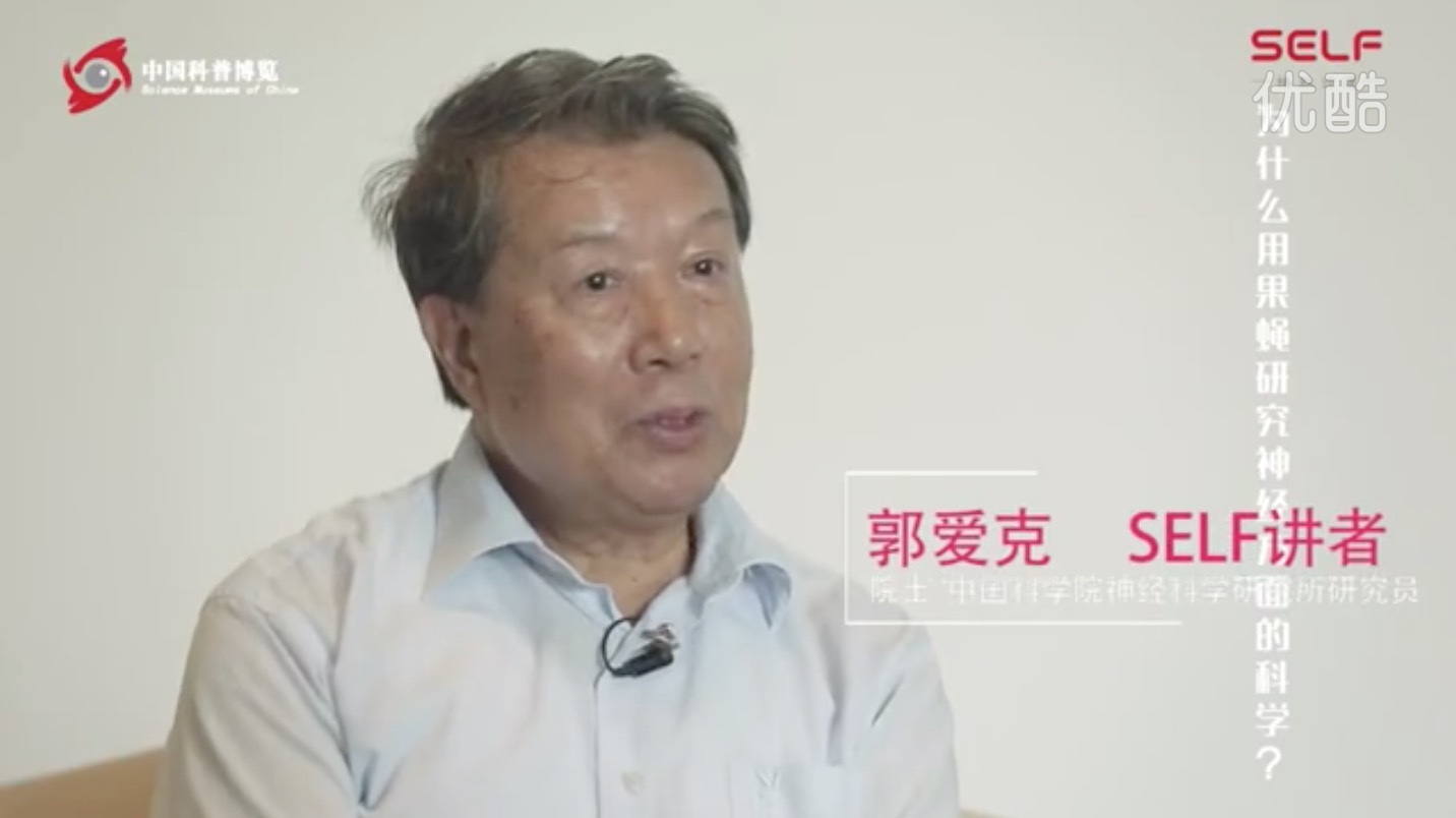 SELF格致论道：获得五次诺贝尔奖的果蝇，具有哪些科学研究价值？