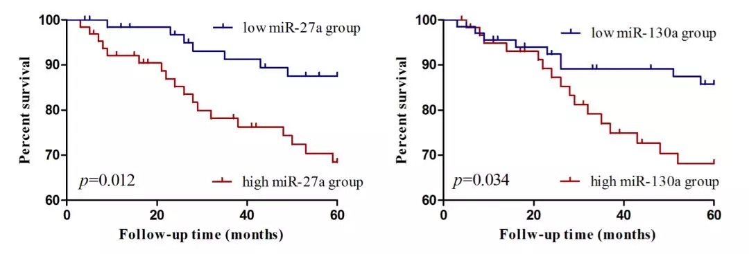 GEO/TCGA数据挖掘：外泌体miRNA轻松发4.5分Biomarker Paper-肽度TIMEDOO