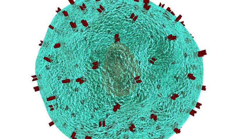 如何增强癌症免疫疗法?Science封面文章出新招-肽度TIMEDOO