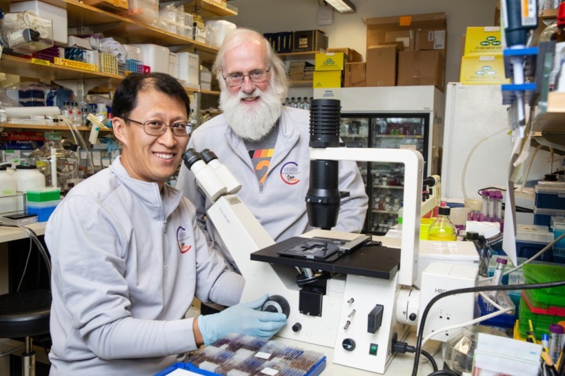 Nature：中美科学家联手找到“癌症之王”胰腺癌的阿喀琉斯之踵