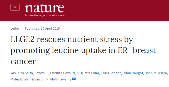 Nature重磅:这种人体必需氨基酸竟然与乳腺癌耐药性有关?-肽度TIMEDOO