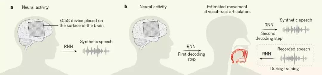 Nature今发表脑机接口领域重大突破:华裔教授成功解码脑电波,并合成语音-肽度TIMEDOO