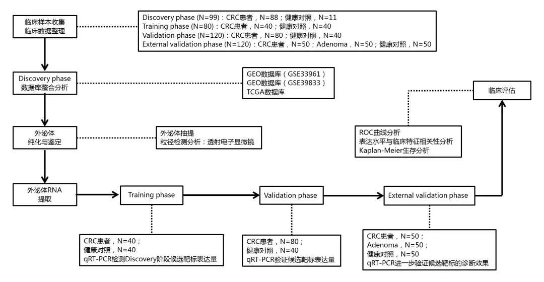 GEO/TCGA数据挖掘：外泌体miRNA轻松发4.5分Biomarker Paper-肽度TIMEDOO