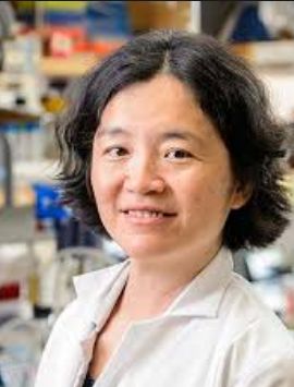颜宁当选美国科学院外籍院士-肽度TIMEDOO