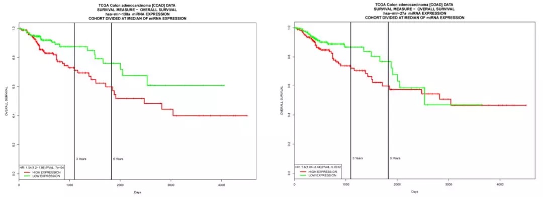 GEO/TCGA数据挖掘：外泌体miRNA轻松发4.5分Biomarker Paper-肽度TIMEDOO
