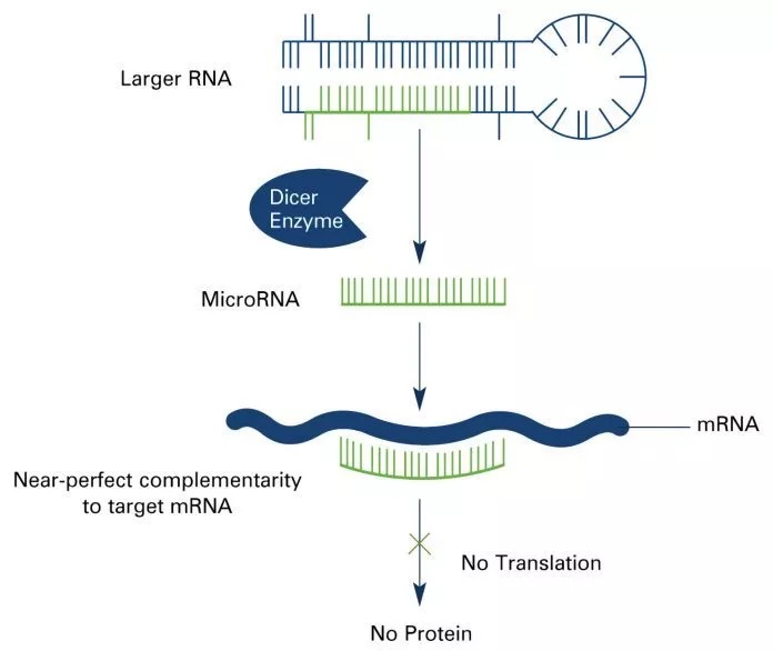 MicroRNA研究迫切需要制定高度标准化的流程方案-肽度TIMEDOO