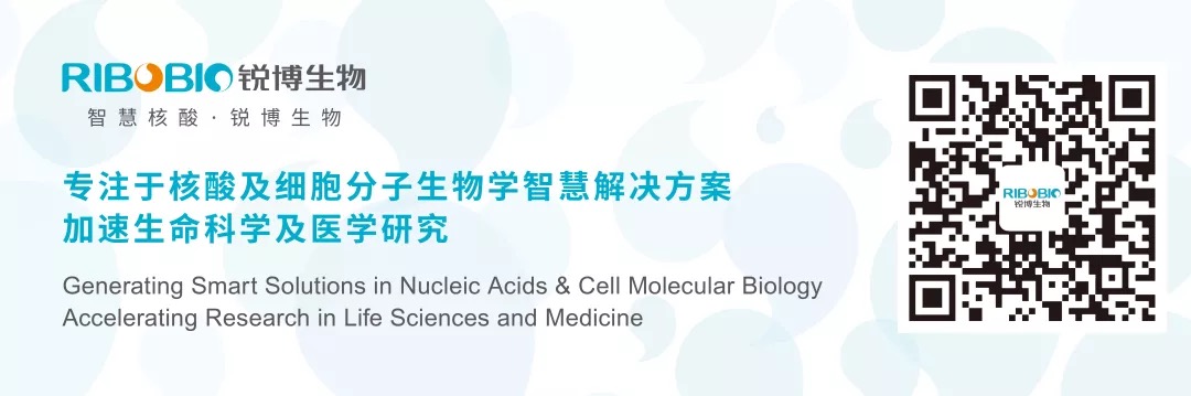 MicroRNA研究迫切需要制定高度标准化的流程方案-肽度TIMEDOO