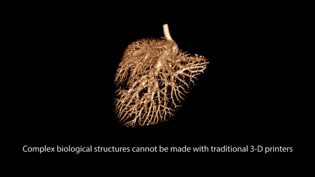 重磅成果!美科学家“造”出人类血管网络,3D打印可植入器官迎来大突破-肽度TIMEDOO