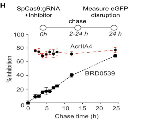 Cell:首个小分子抑制剂可以精确控制CRISPR-Cas9基因编辑-肽度TIMEDOO