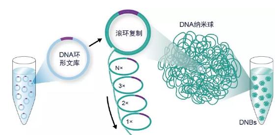 360截图20190510151002921.jpg 华大智造完成2亿美元首轮募资-肽度TIMEDOO