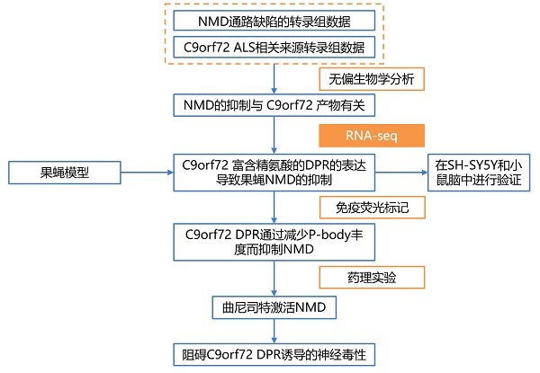 科学家发现新策略,有望“解冻”渐冻人!-肽度TIMEDOO